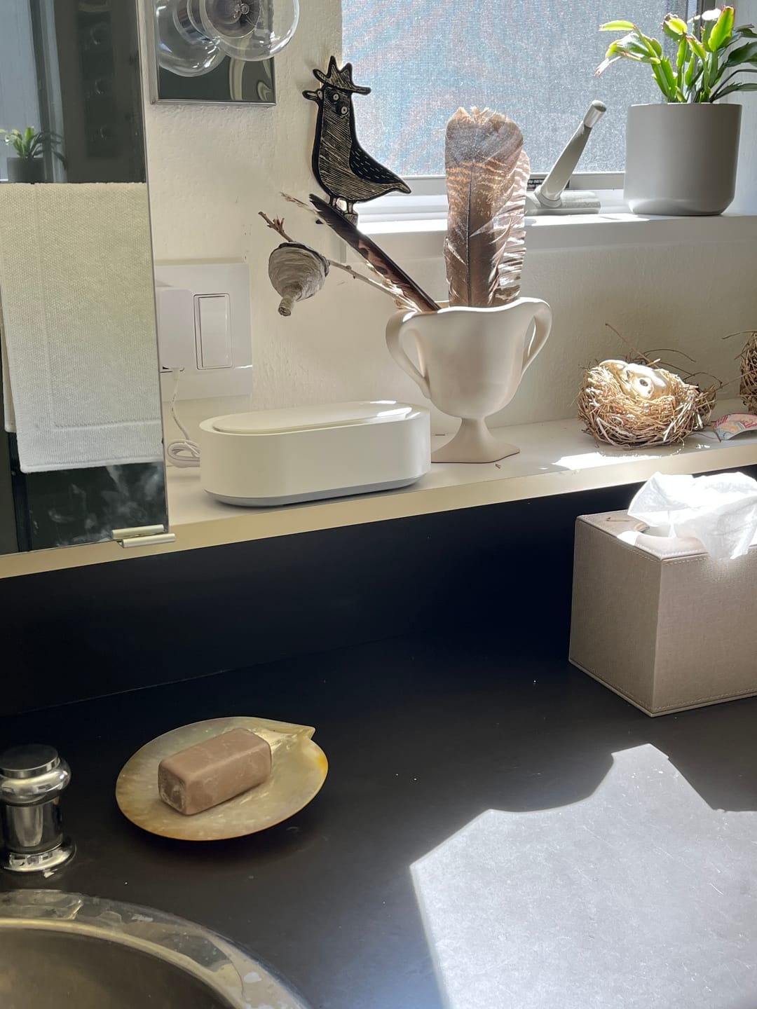 Customer photo review of akua sonic cleaner
