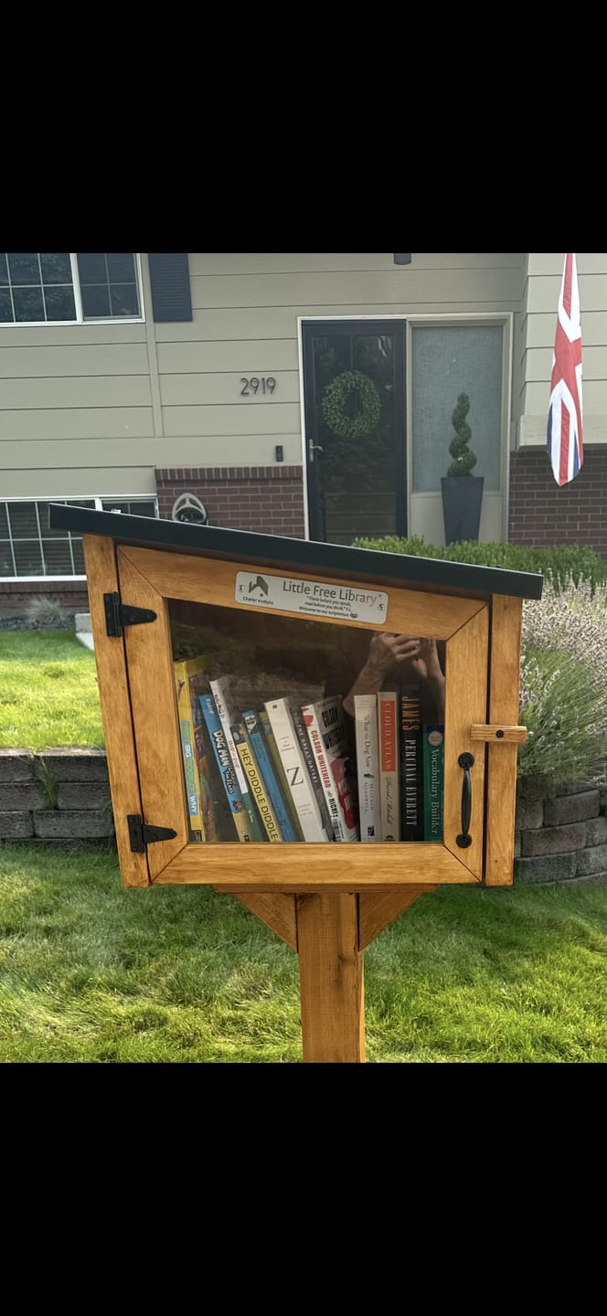 Customer photo review of Modern Unfinished Little Free Library