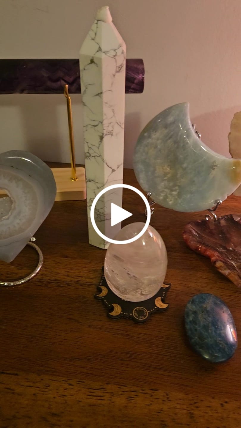 Customer video review of Ultimate Bargain Scoop