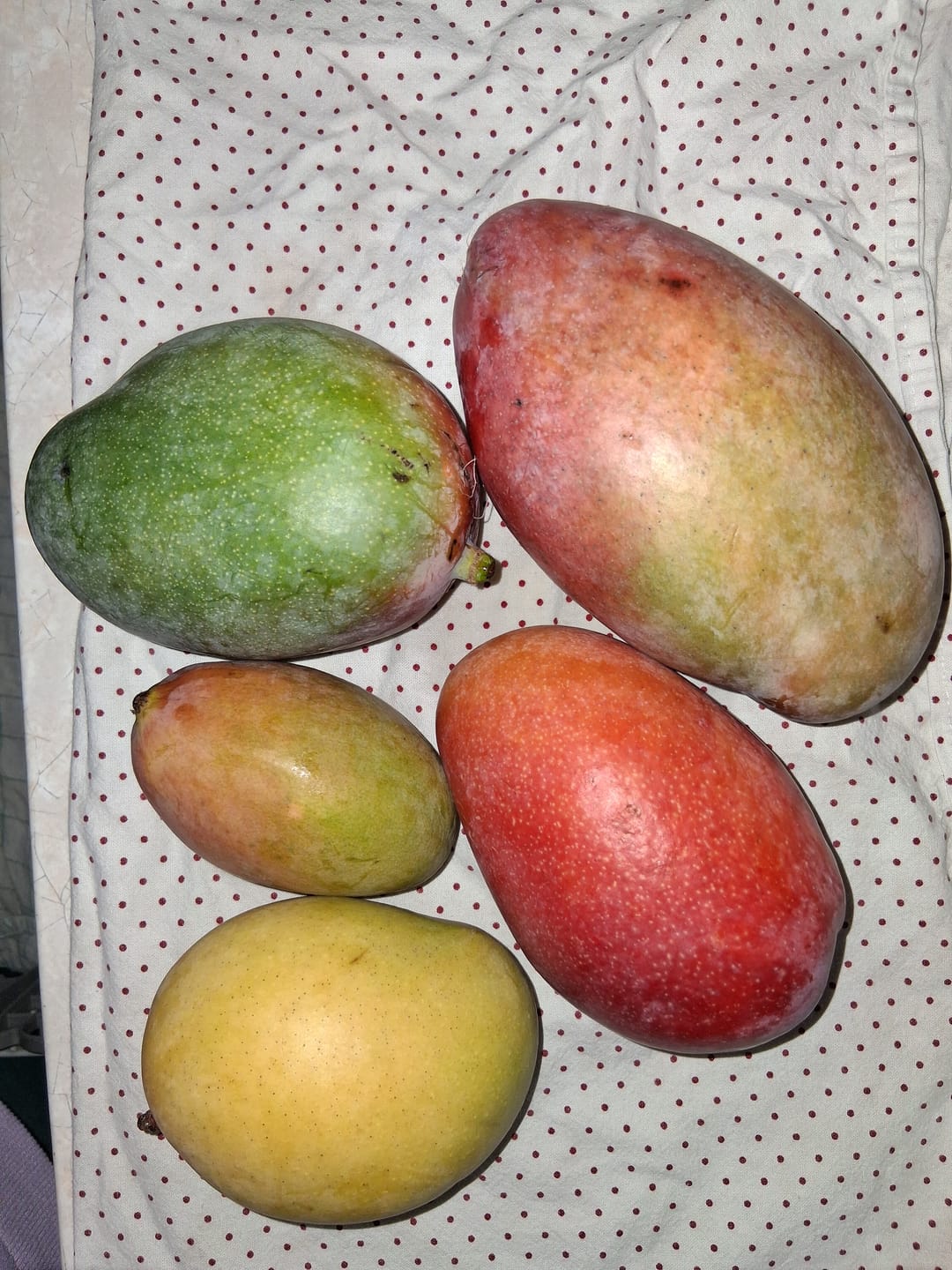Customer photo review of Mango Mix von Juan 3kg Aktion %