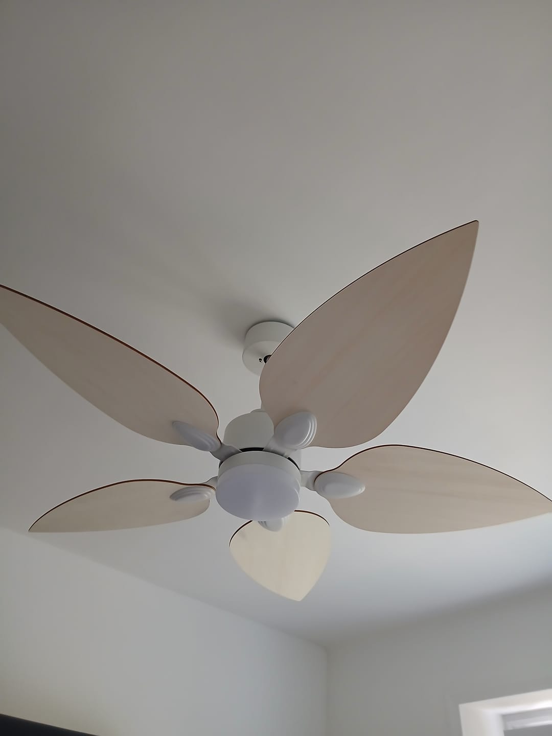 Customer photo review of Virevole | Ventilateur de plafond – Ø 131 cm