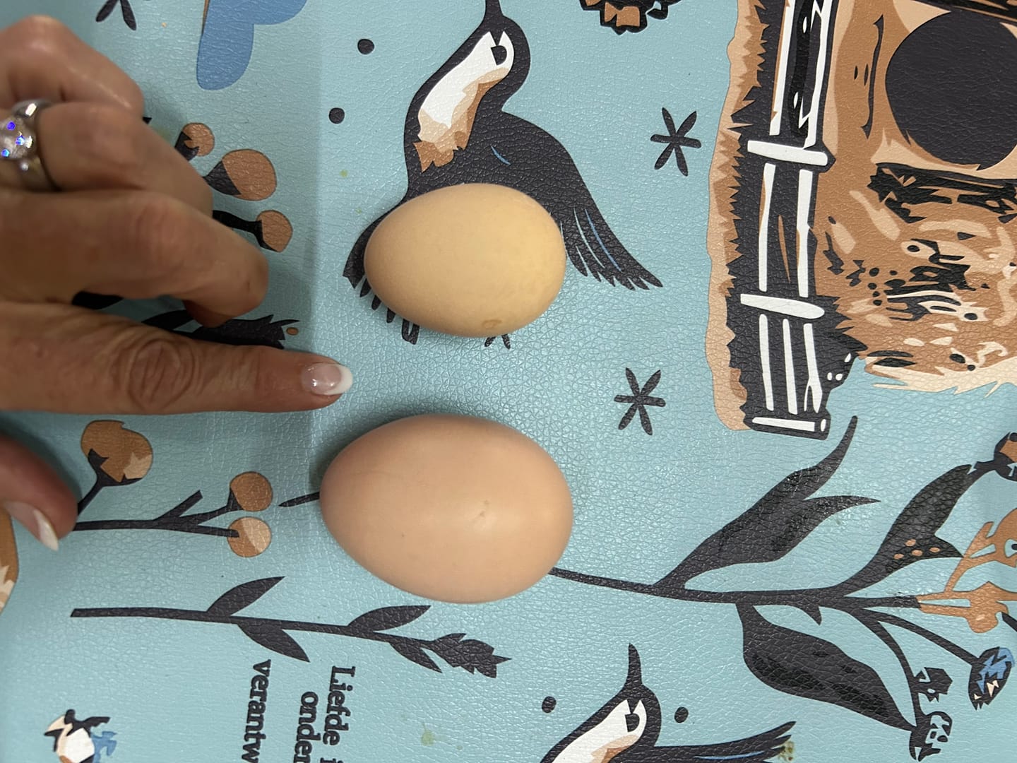 Customer photo review of Avi Layer & Breeder (Fertility, Egg Quality & Skeletal Support for All Birds)