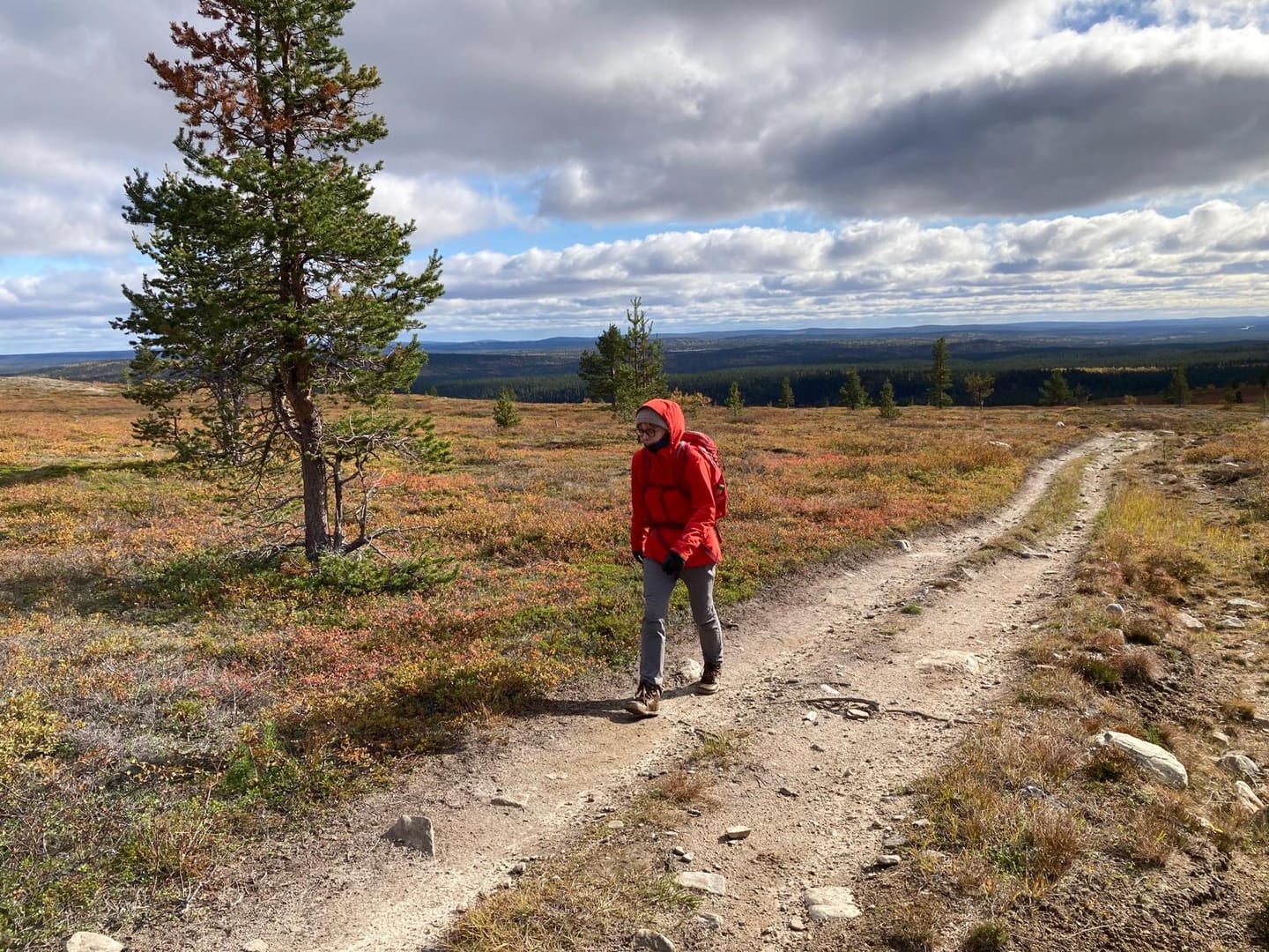 Customer photo review of Vaistoa Uoma 2 -paljasjalkavaelluskengät