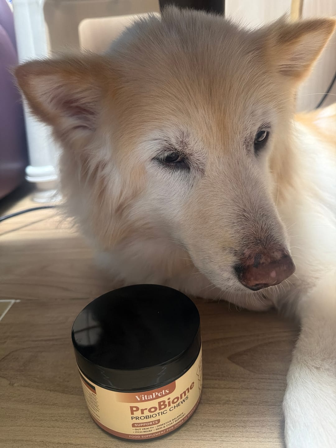 Customer photo review of ProBiome™狗狗益生菌軟粒
