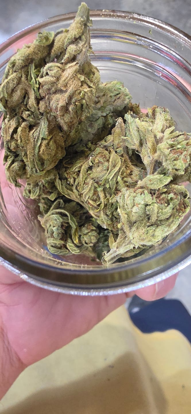 Customer photo review of Blueberry Cough - 28 Grams - Sativa