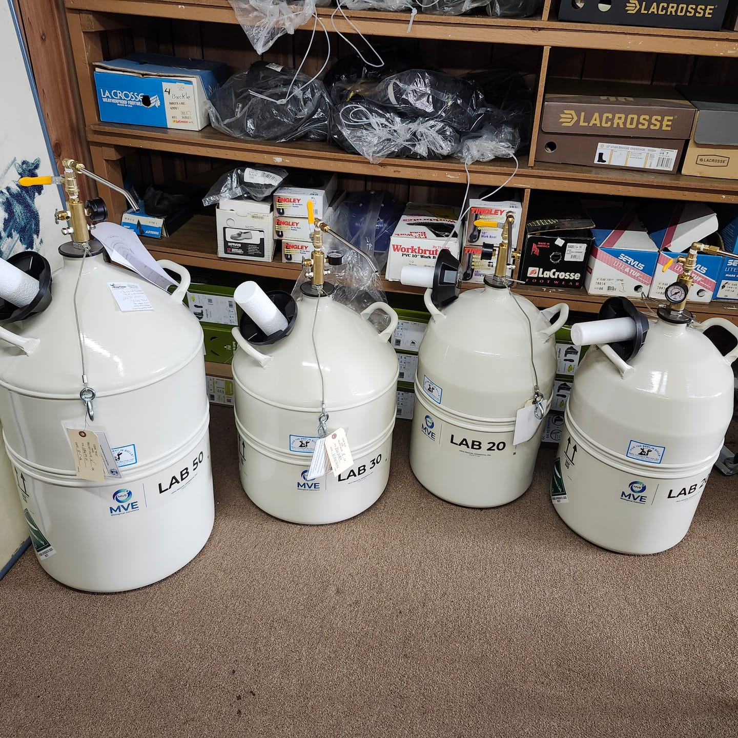 Customer photo review of MVE Lab 20