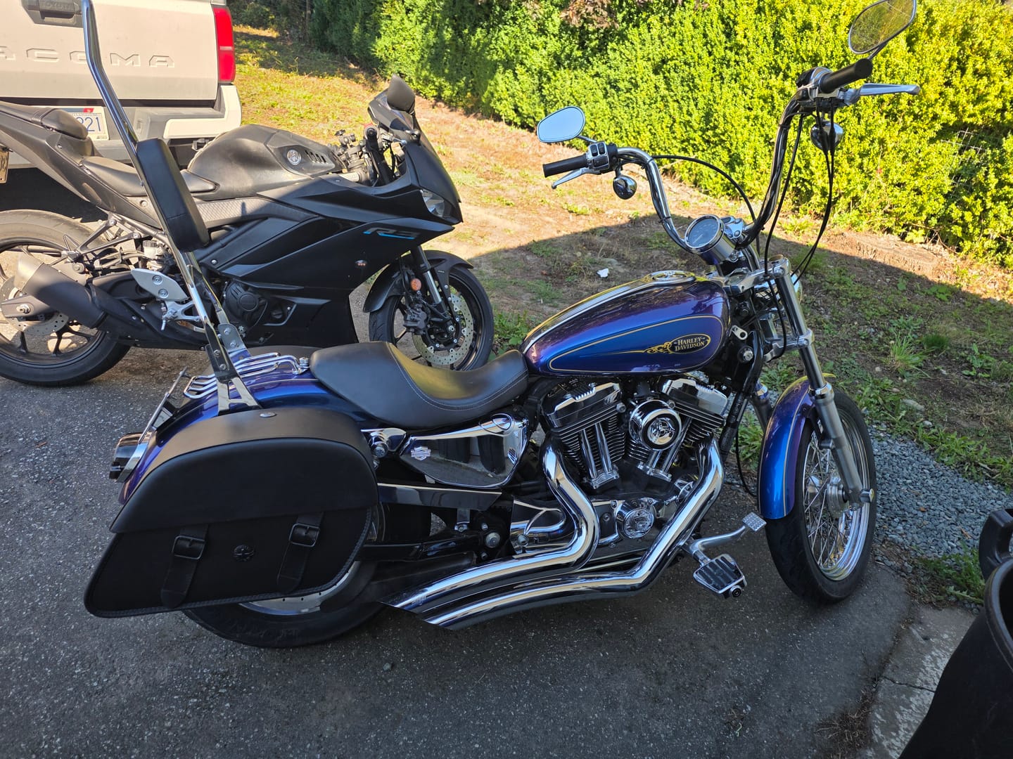 Customer photo review of 32L - Baelor Large Hard Mount Shock Cutout Saddlebags for Harley Sportster 1200 Custom XL1200C/XLH1200C