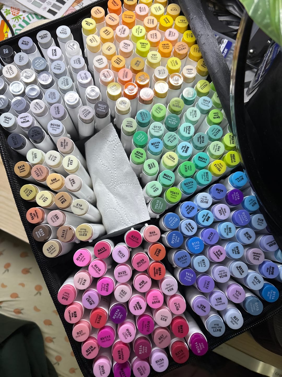 Customer photo review of Ohuhu Honolulu 216 Colors Dual Tips Alcohol Art Markers (New Color Codes)