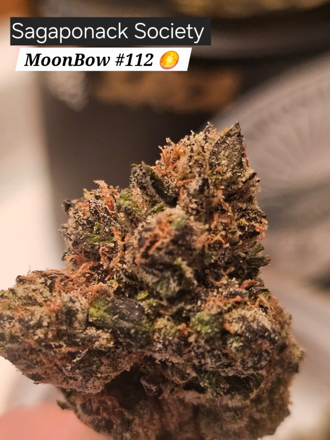 Customer photo review of Society Reserve No. 02 17 Grams