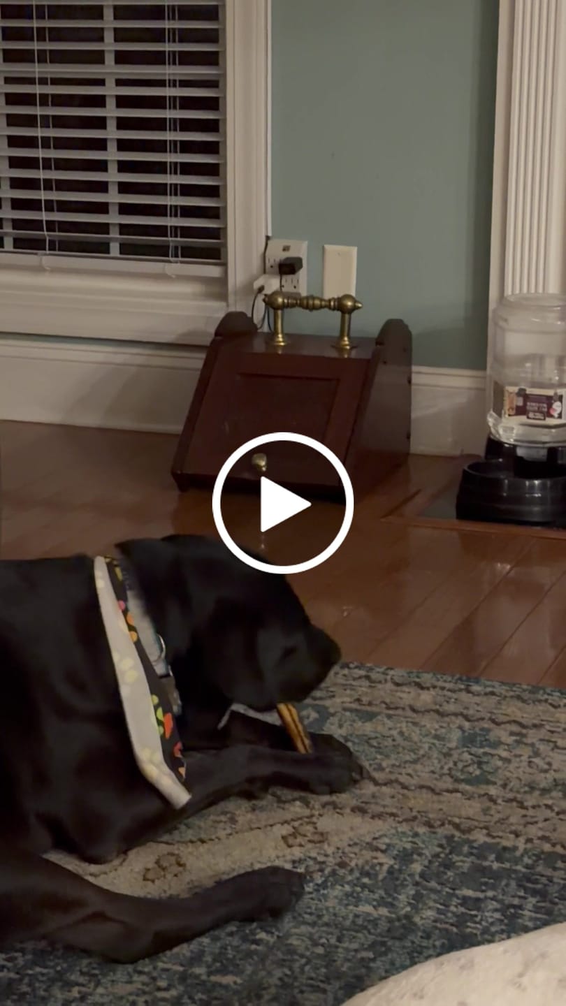 Customer video review of Smoked Beef Marrow Bones