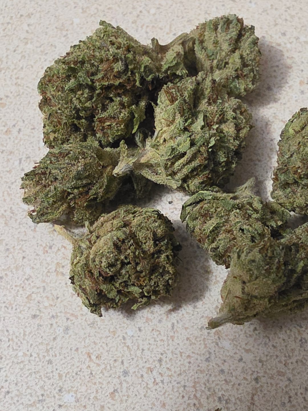 Customer photo review of Bruce Banner Mediums - Bulk Mediums - Hybrid