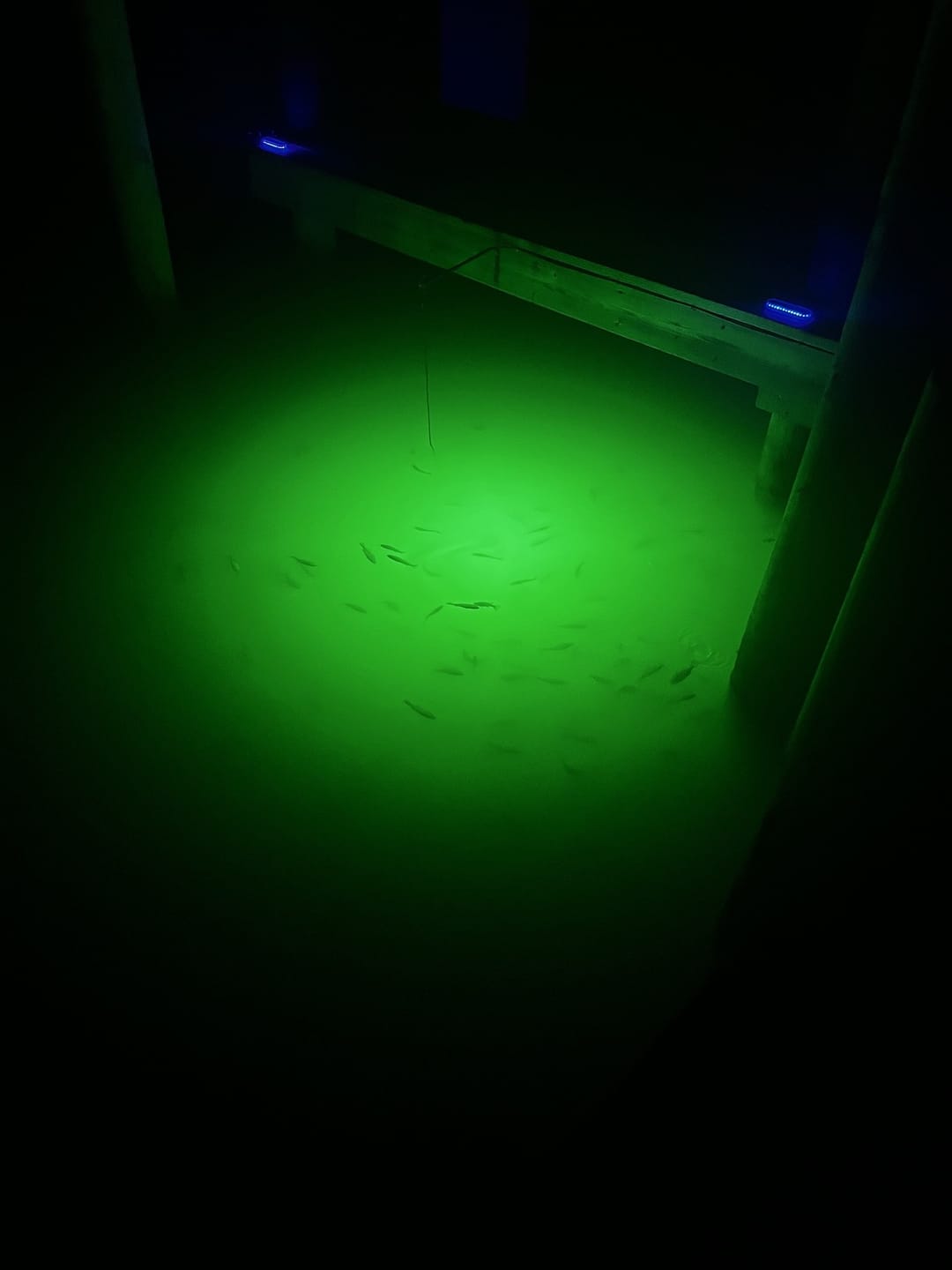 Customer photo review of Sea Floor Dock Light-Green-SF100G