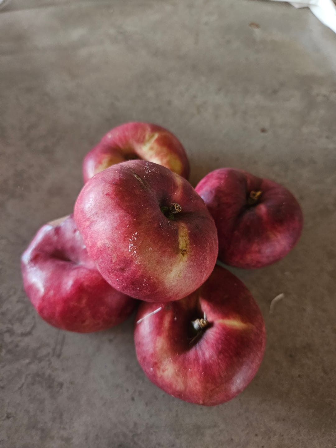 Customer photo review of Weinberg-Nektarinen Platerinos Bio 2kg Box
