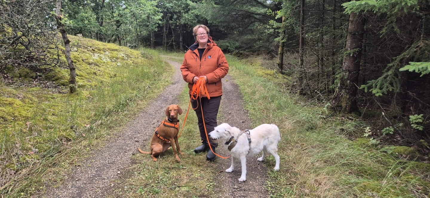 Customer photo review of KeepDry Overgangsjakke 3.0 I Tawney I Anthon