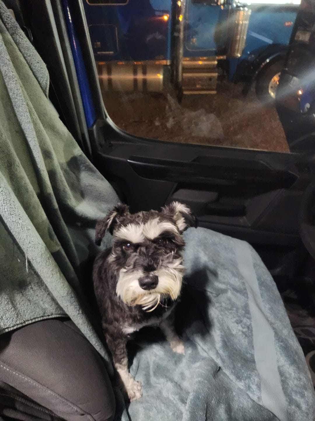 Customer photo review of Iron Paws Daily Human-Grade Superfood For Dogs