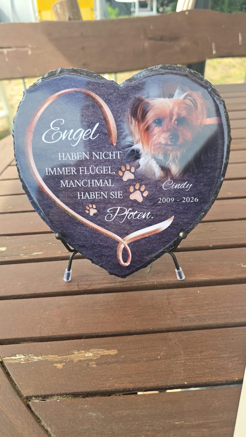 Customer photo review of Personalisiertes Schieferherz - Engel haben Pfoten