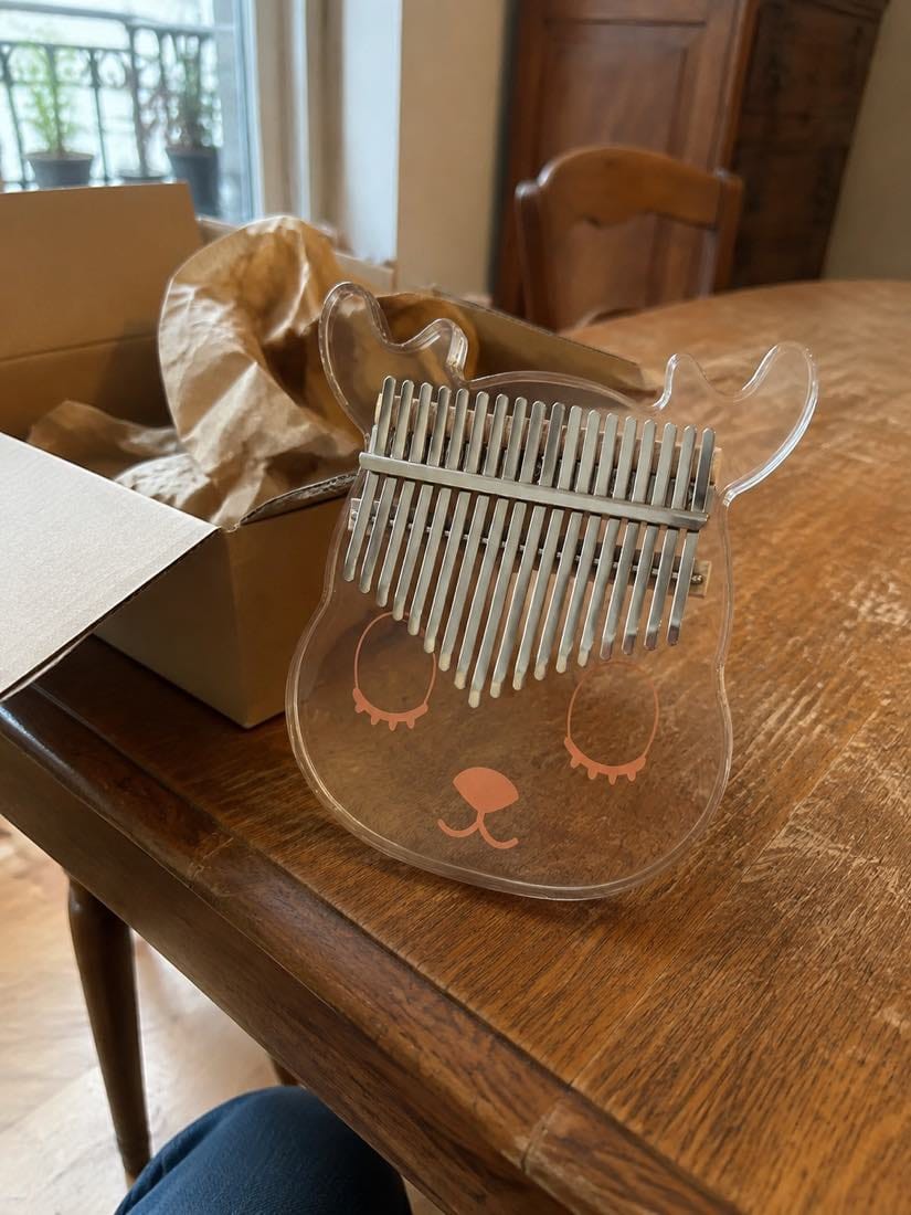 Customer photo review of Kalimba 17 oder 21 Tasten - Acryl, Transparent