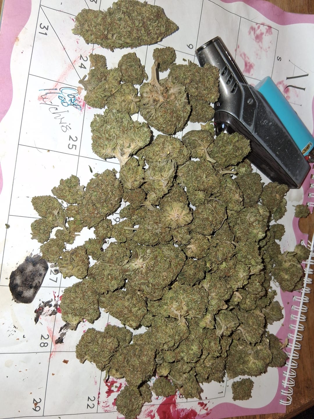 Customer photo review of Acapulco Gold THCA Flower