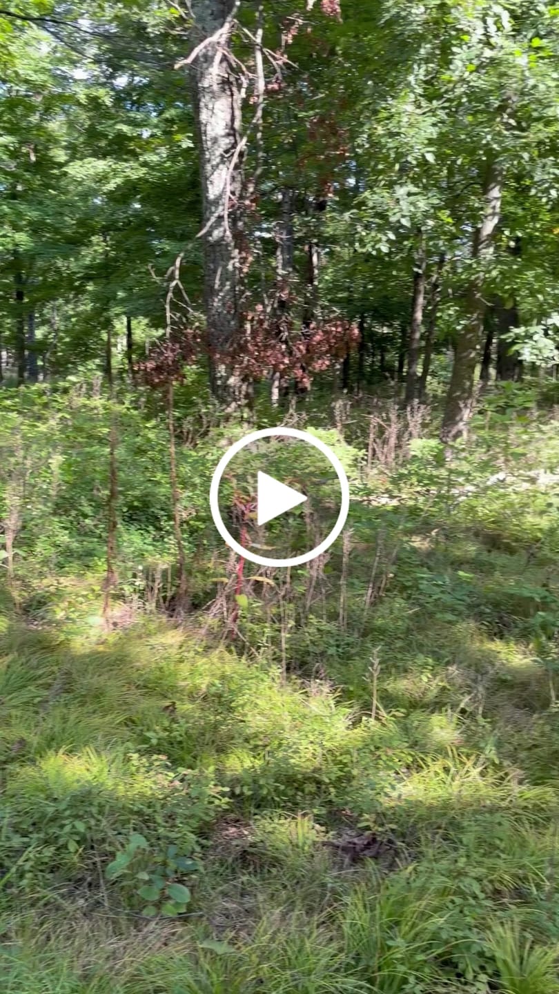 Customer video review of Vis Series 270 Degree See Through Hunting Blind | Portable 2 3 4 Person Ground Blind | Camo Pop Up Deer Blind for Deer & Hunters