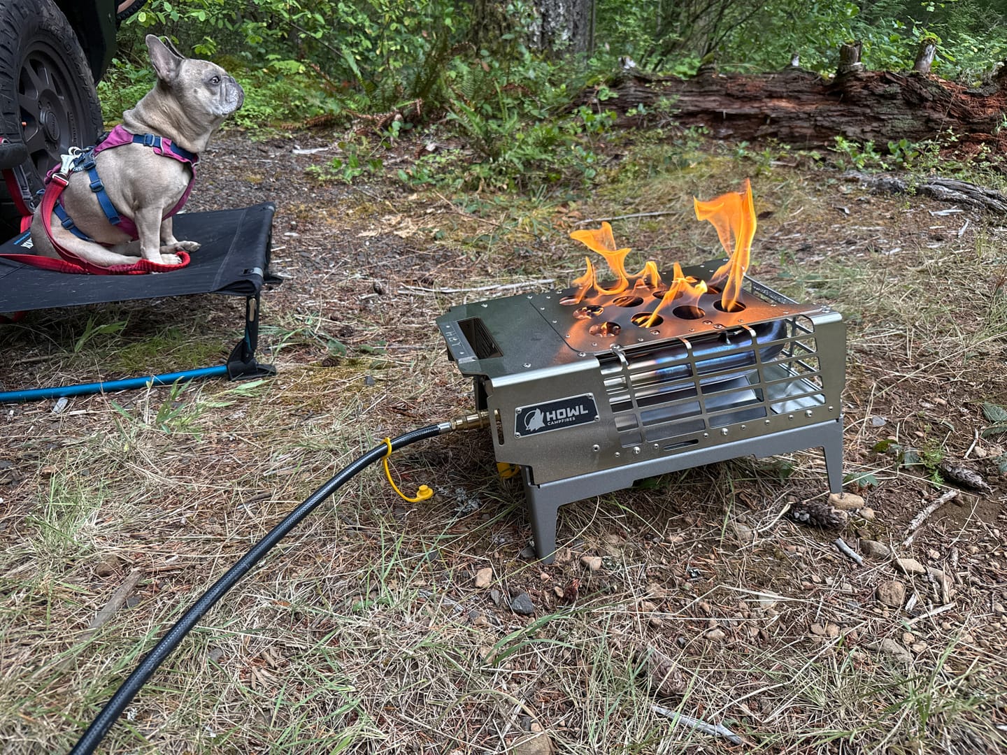 Customer photo review of The Howl R3