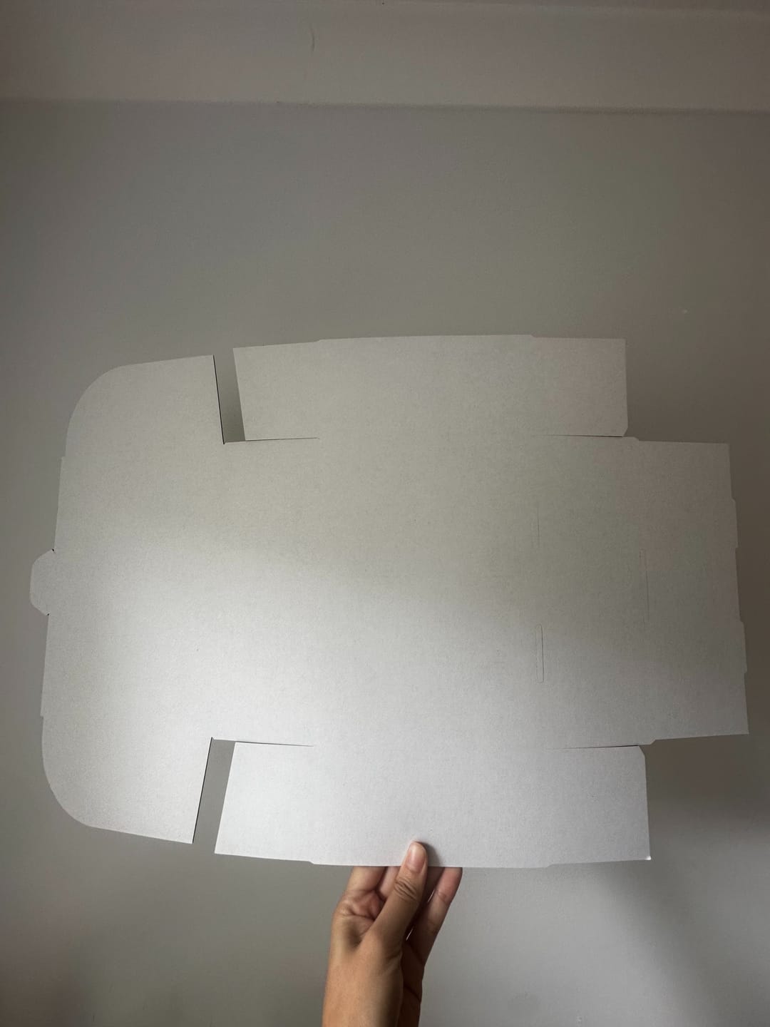 Customer photo review of 220 x 160 x 77mm A5 Die cut White Mailing Box B38