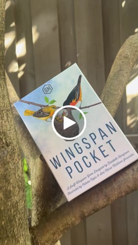 Customer video review of Wingspan Pocket