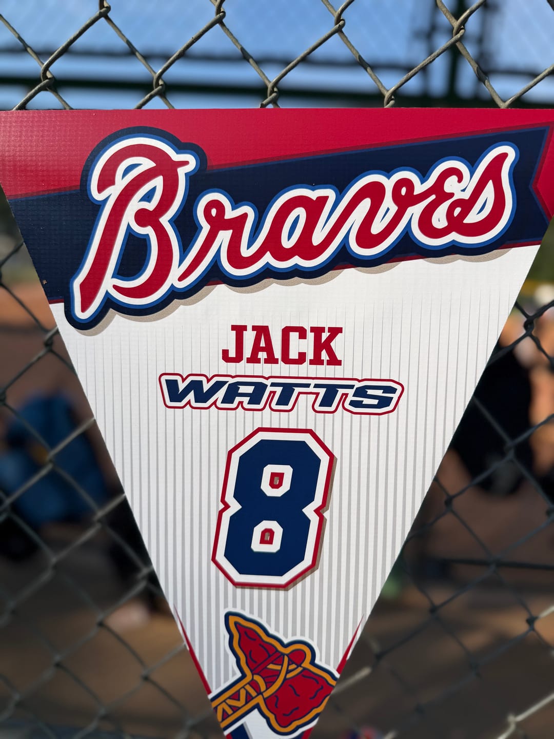 Customer photo review of Pennants - Design B