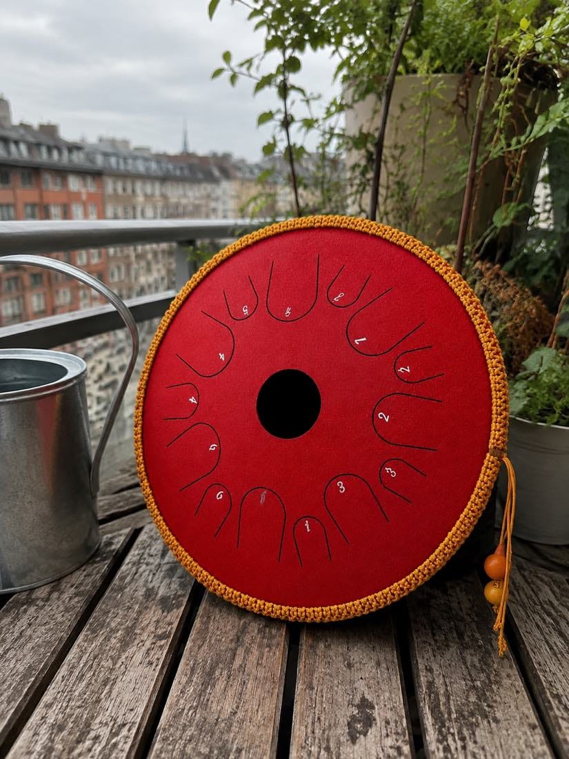 Customer photo review of Zungentrommel C-Dur 14 Noten