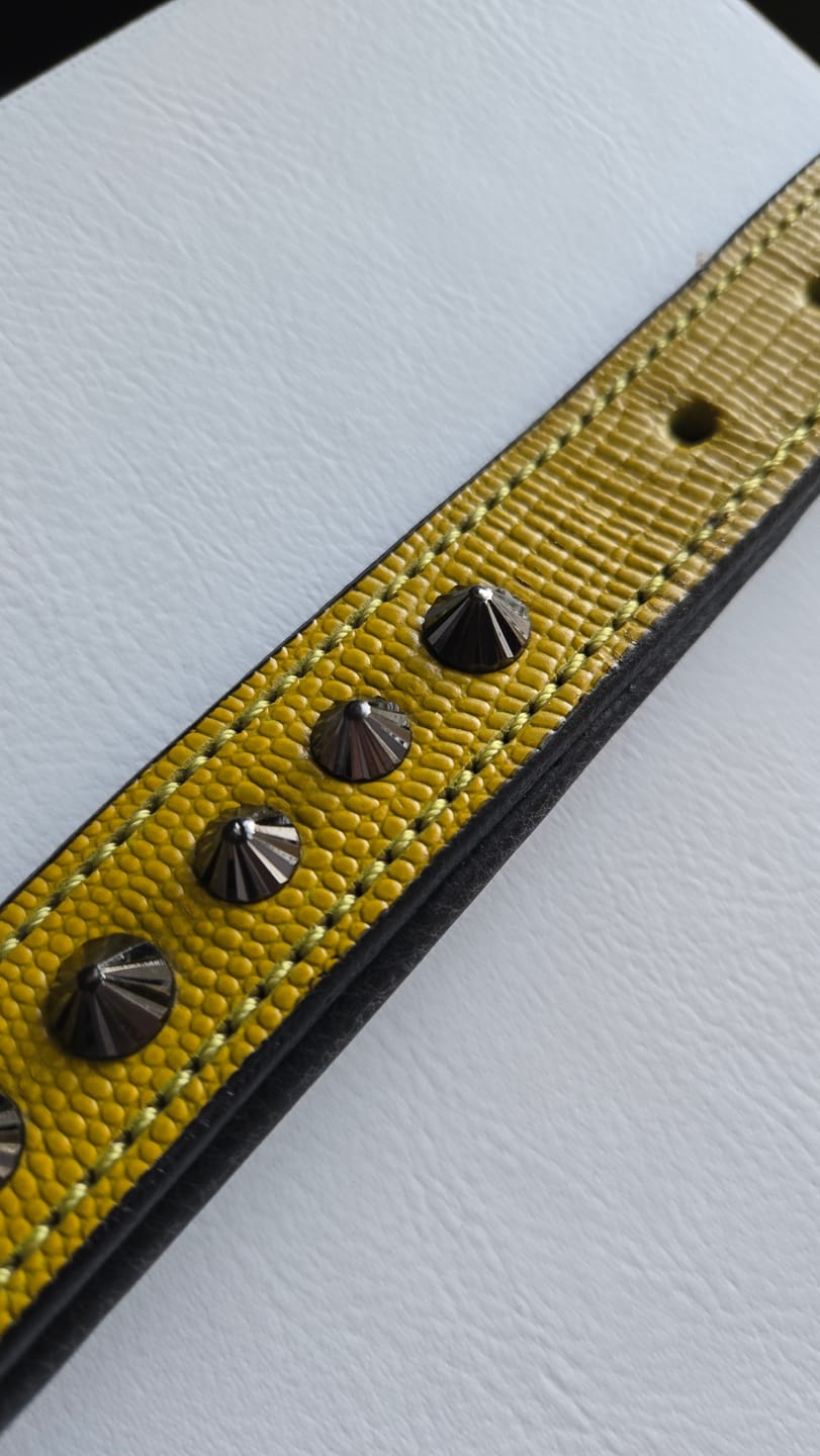 Customer photo review of Hand Made Leather Dog Collar - Ruthless Yellow & Black (Slim Fit)