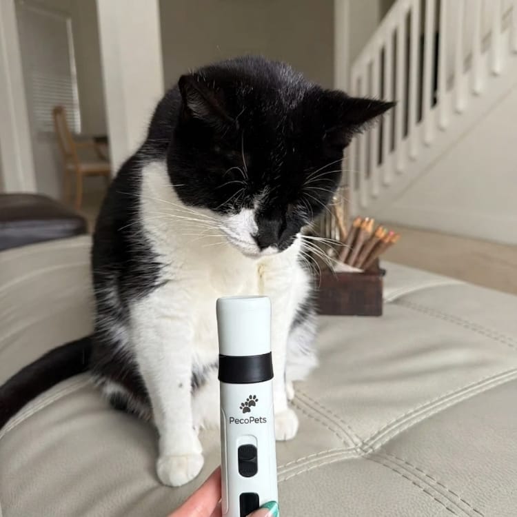 Customer photo review of Limador Pro Silencioso