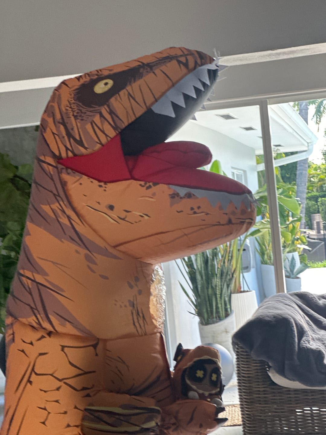 Customer photo review of Cyn T-Rex Plush
