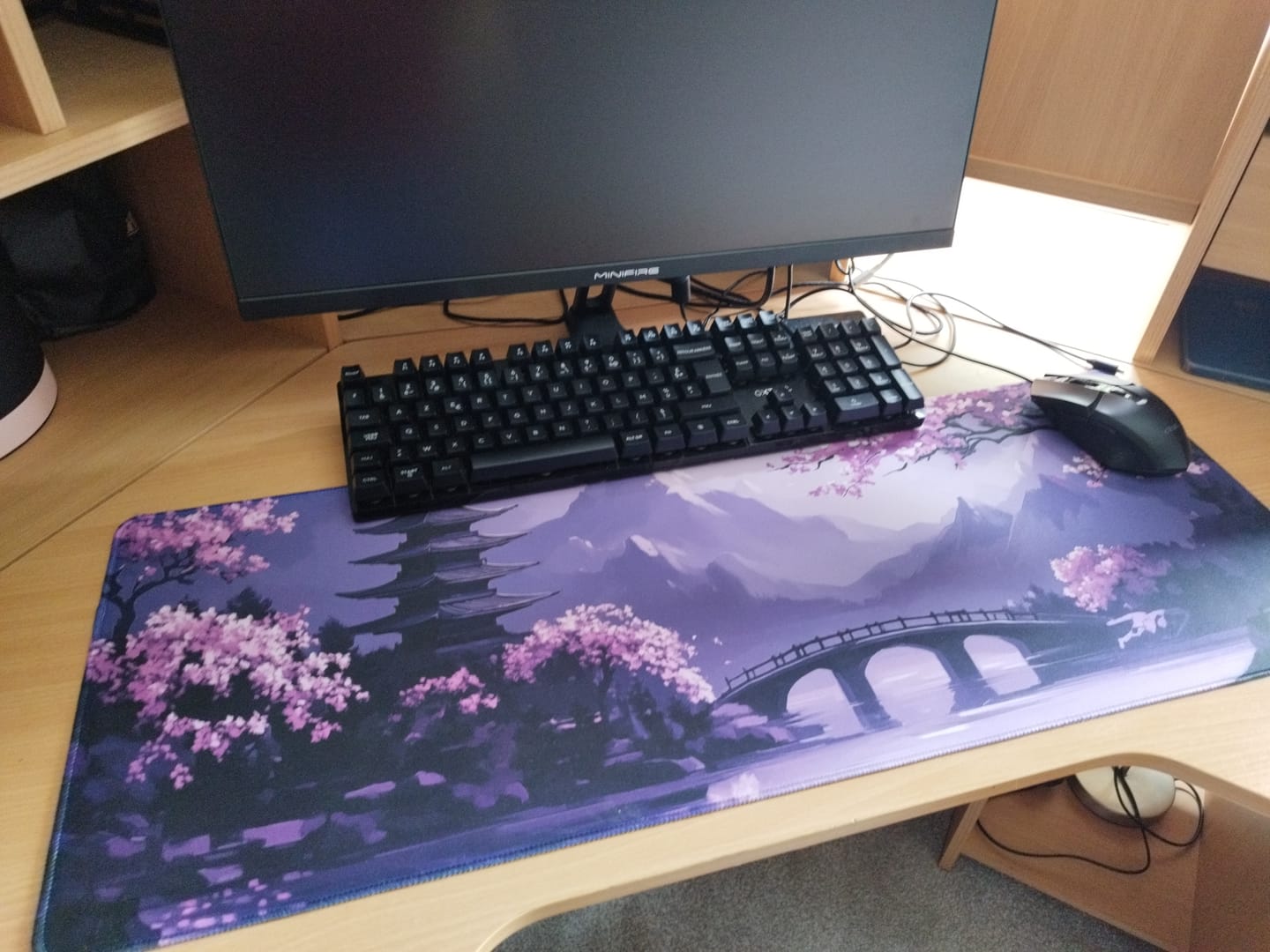 Customer photo review of Moonlit Sakura