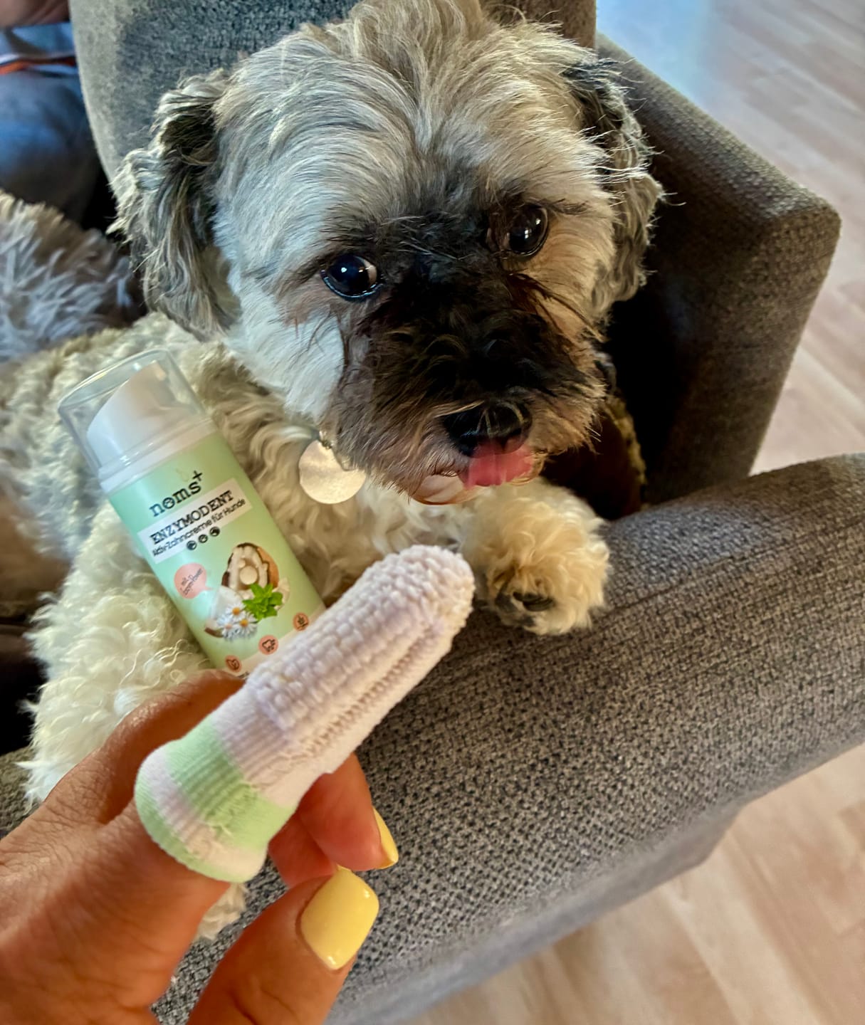 Customer photo review of Silberling Fingerling für Hunde