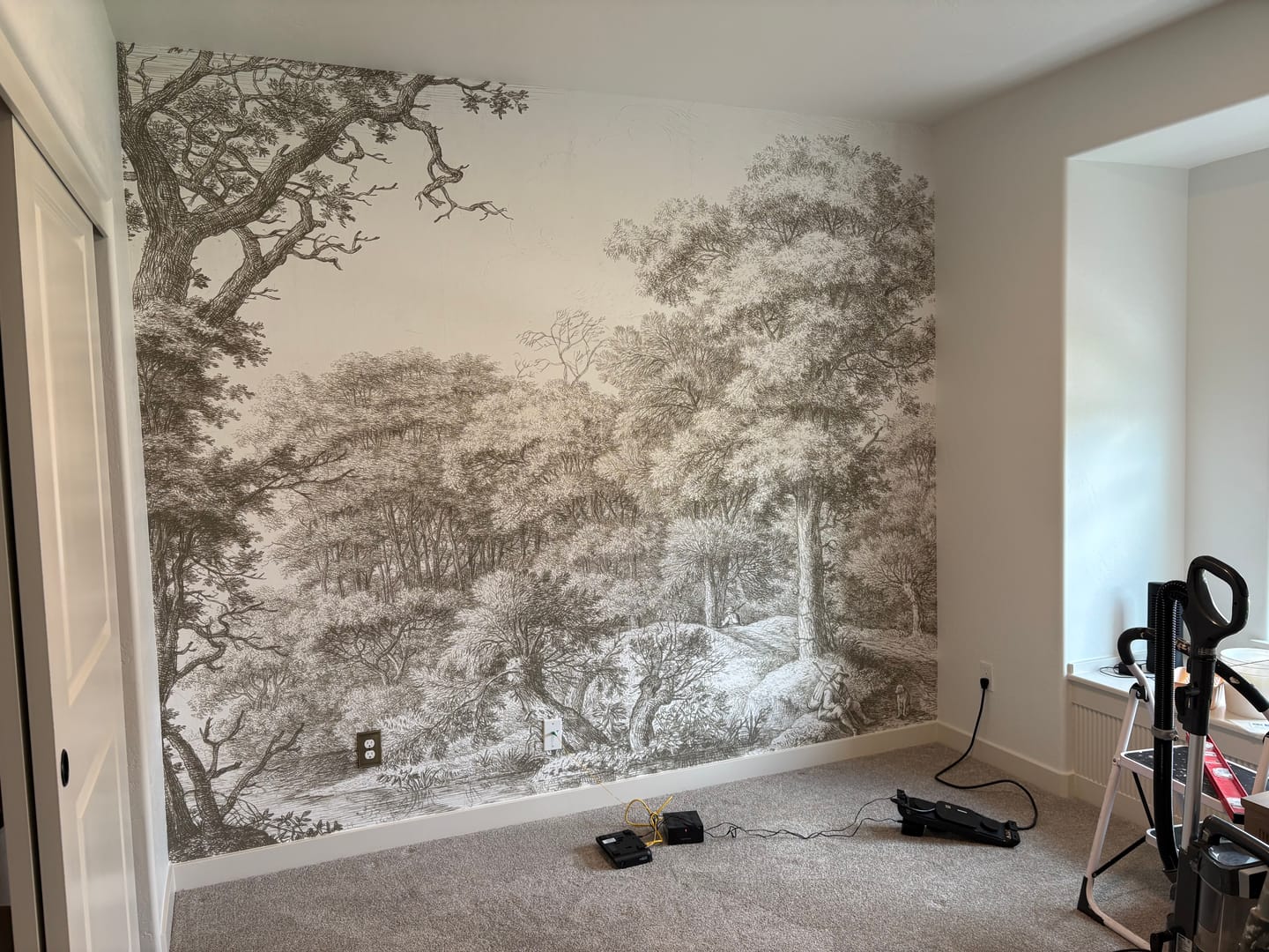 Customer photo review of Waterloo Woods Green - English Etched Green Countryside Wallpaper Mural