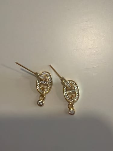 Customer photo review of HM PIG NOSE FULL OF DIAMOND EARRINGS