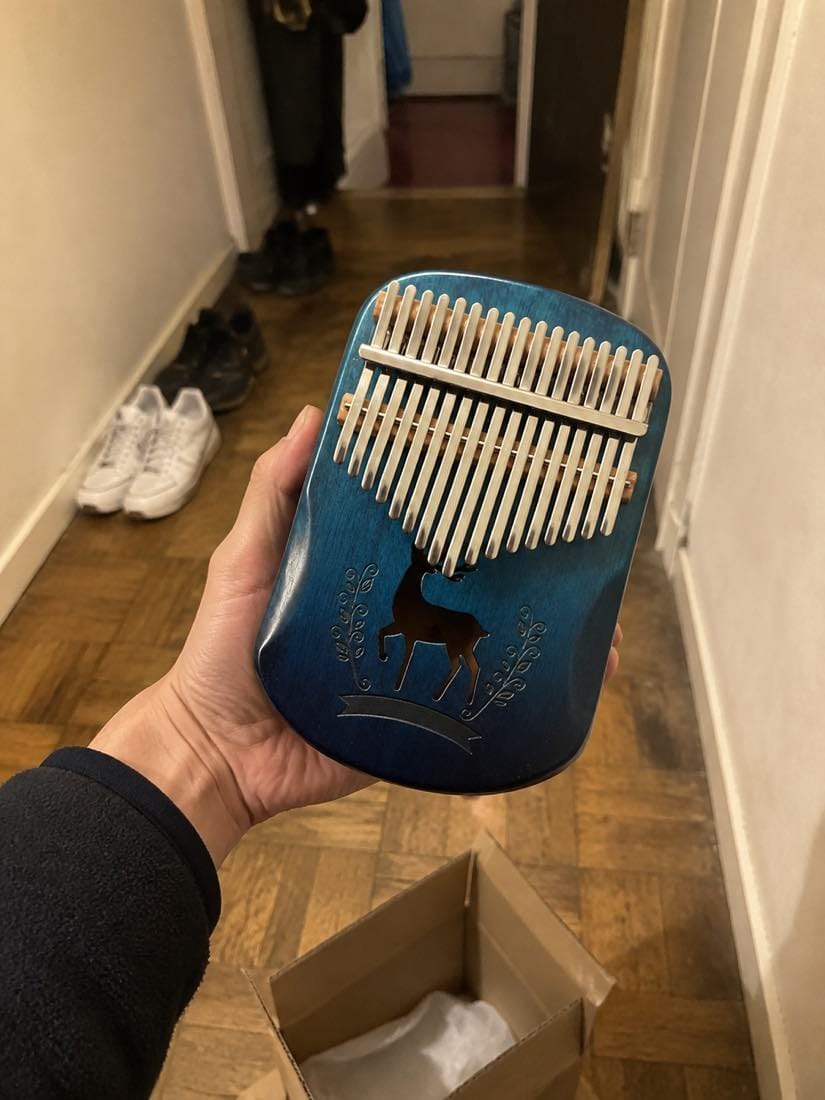 Customer photo review of Kalimba 17 Tasten - Mahagoni, Blau