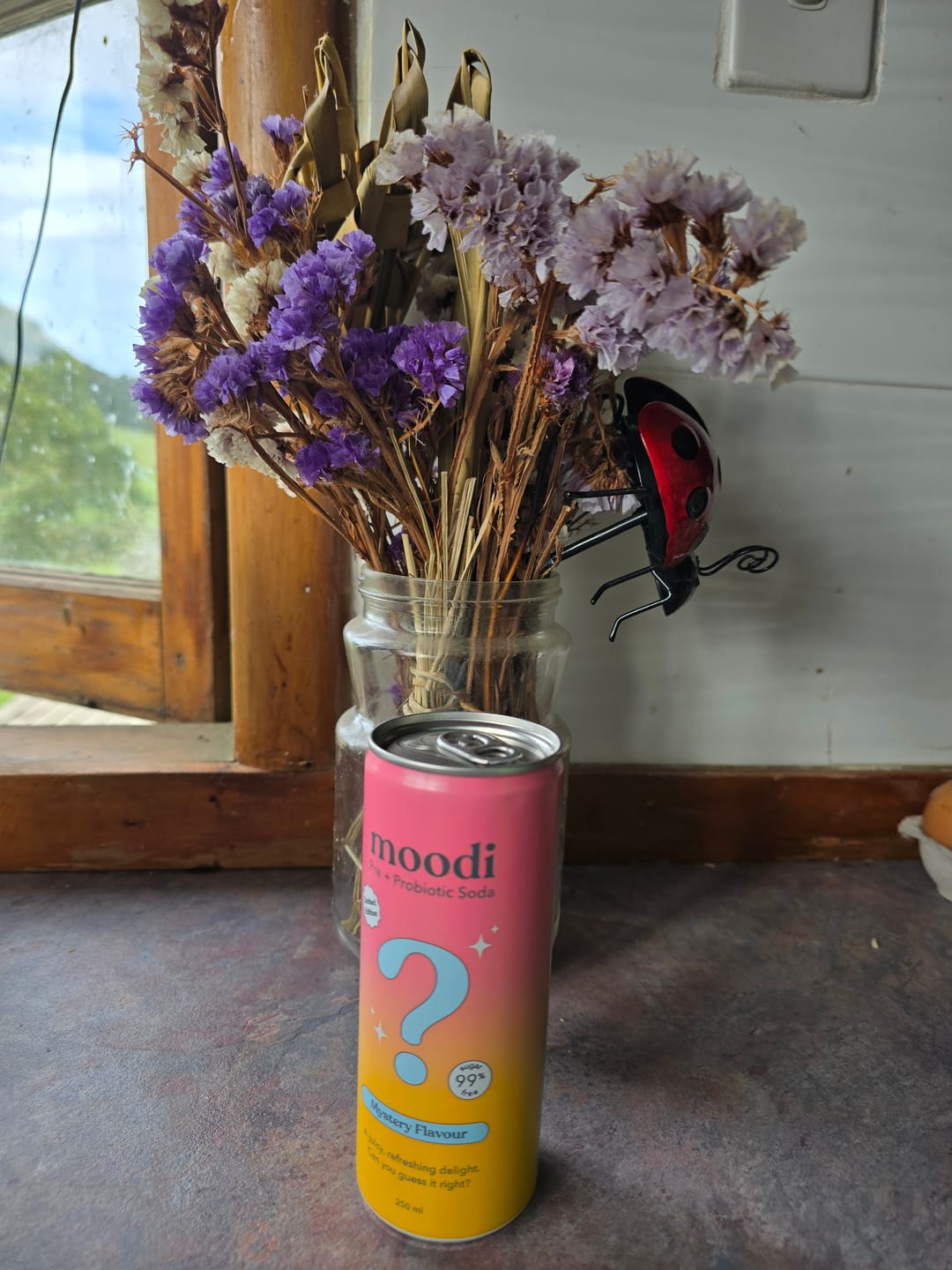 Customer photo review of Pre + Pro Soda