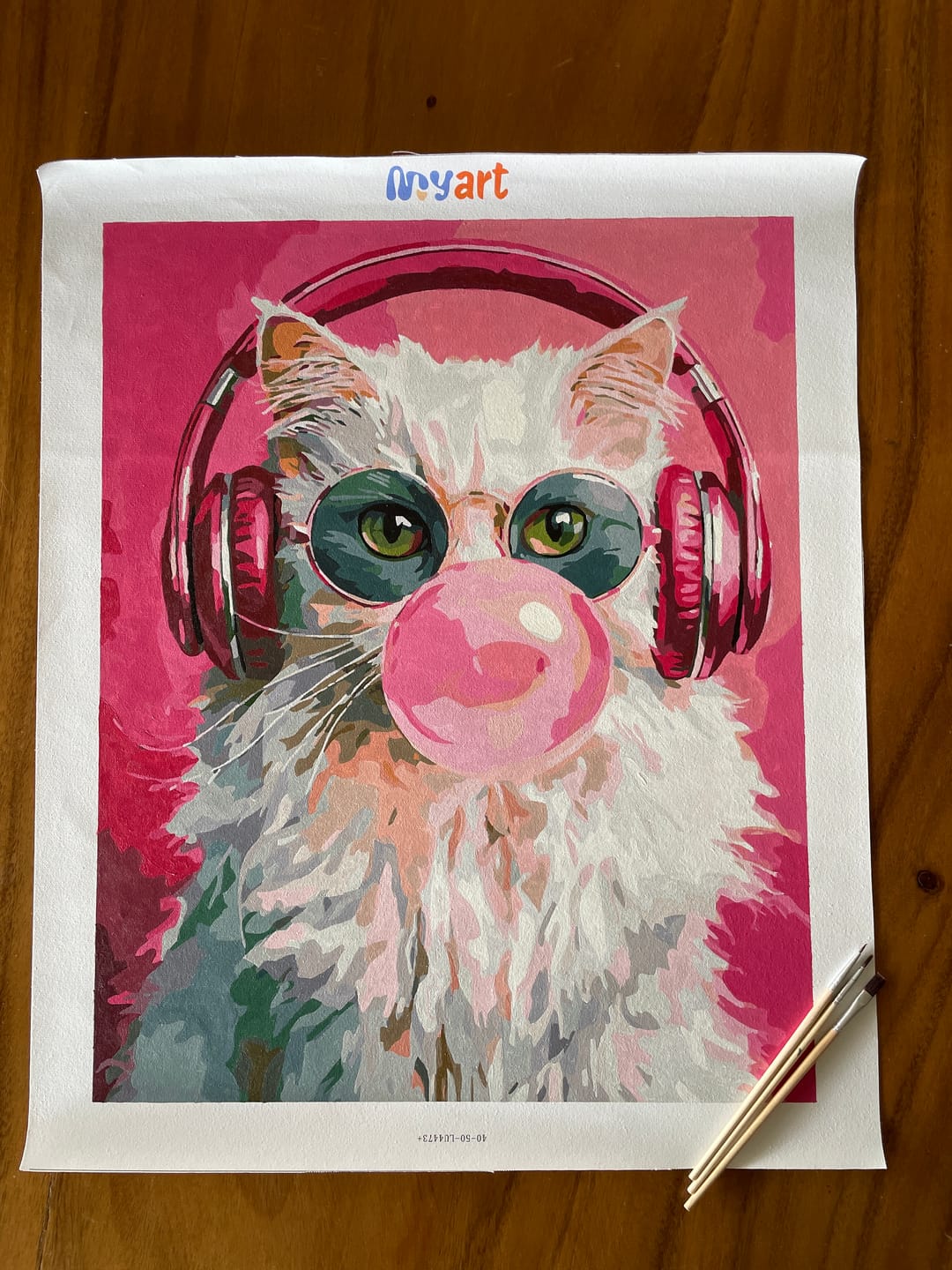 Customer photo review of DJ Cat