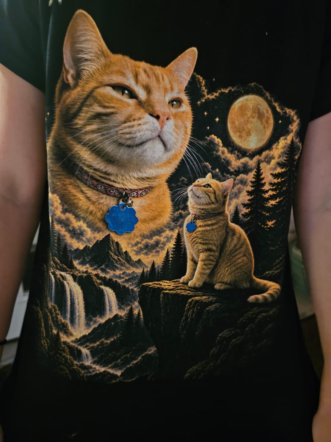 Customer photo review of Guiding Spirit | Custom Pet Tshirt