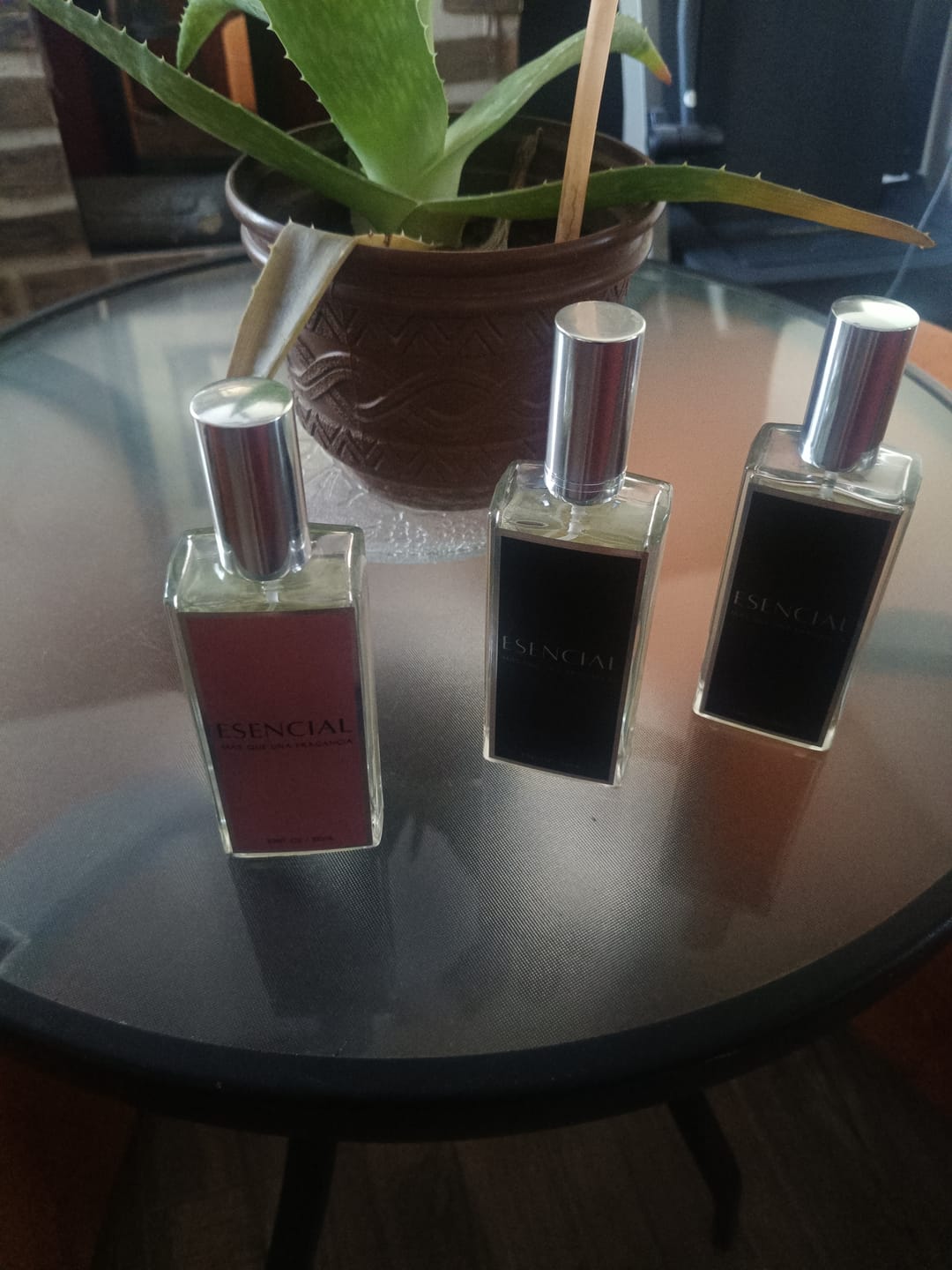 Customer photo review of M565 Inspirado en: La Vie est Belle L'Elixir - Lancôme