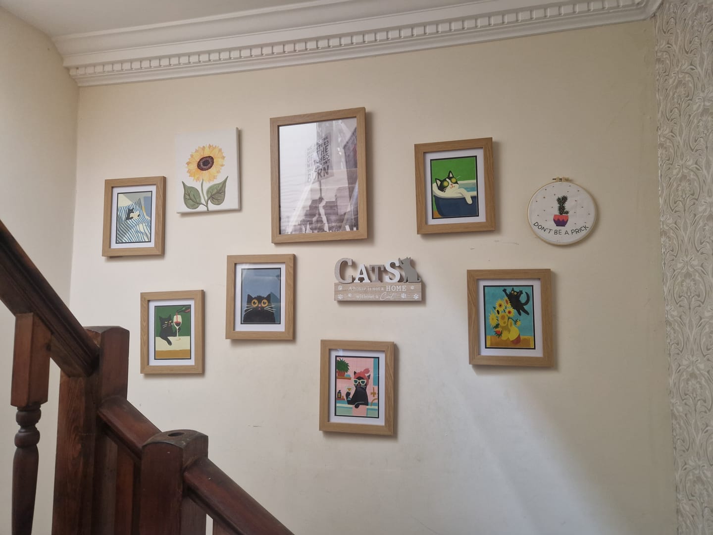 Customer photo review of 6 Mini Paintings - Crazy Cat Set