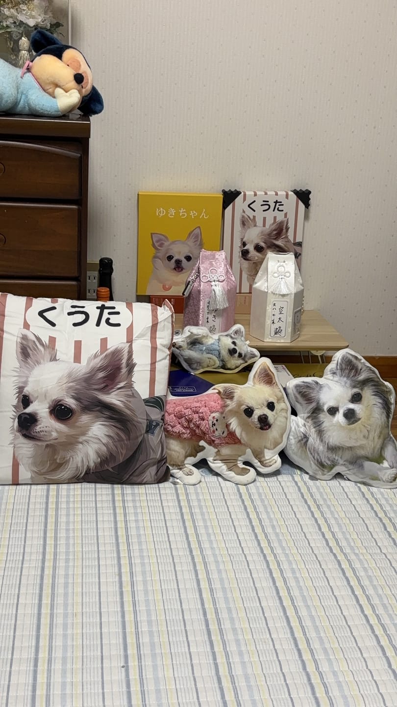 Customer photo review of Petcanva® 品質補償サービス