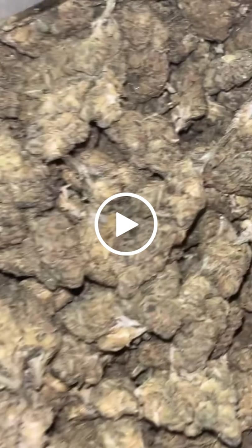 Customer video review of THCA Flower Budget Buds