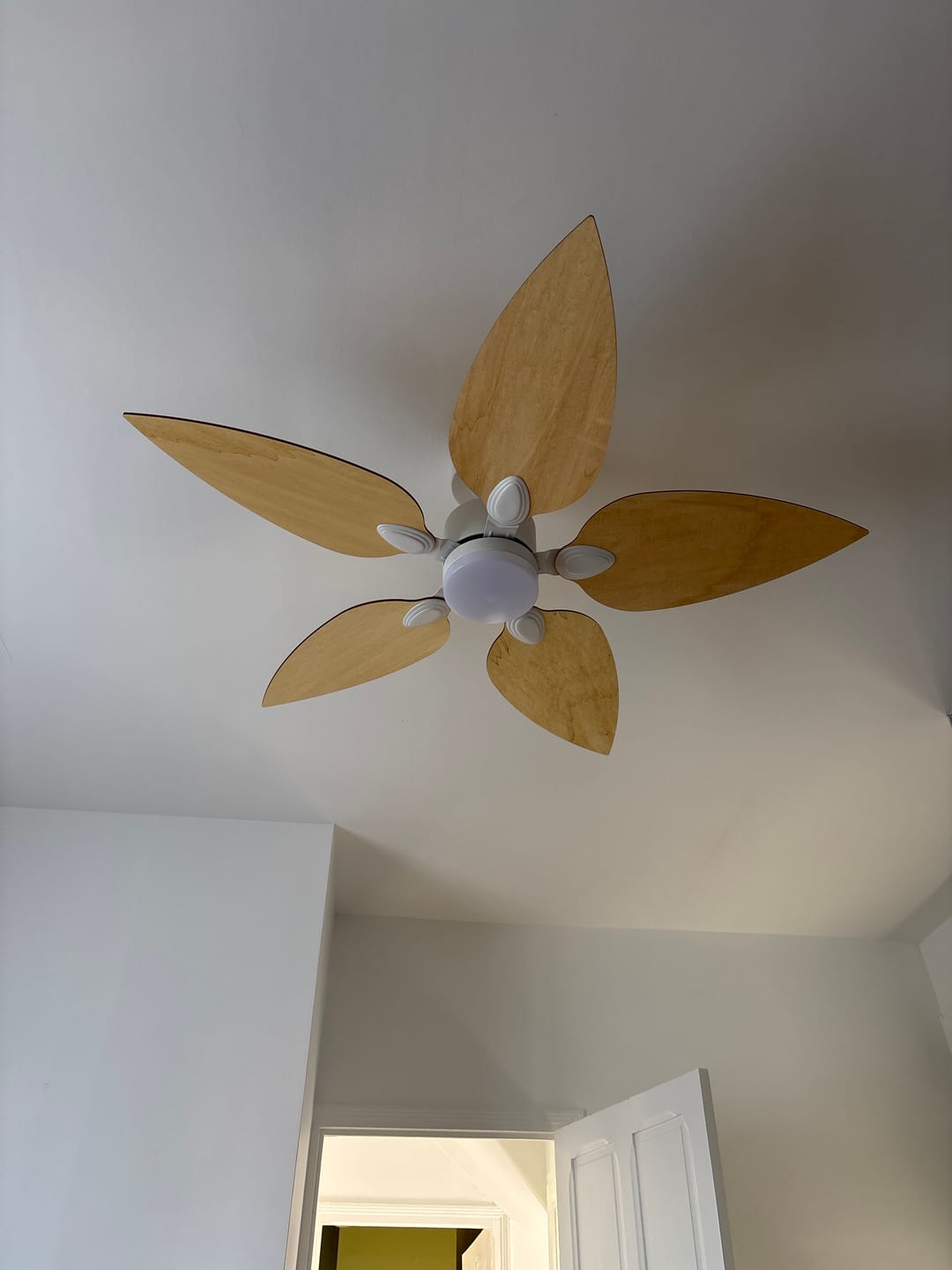 Photo de Arthur L., cliente ou client Atelier Loupiote