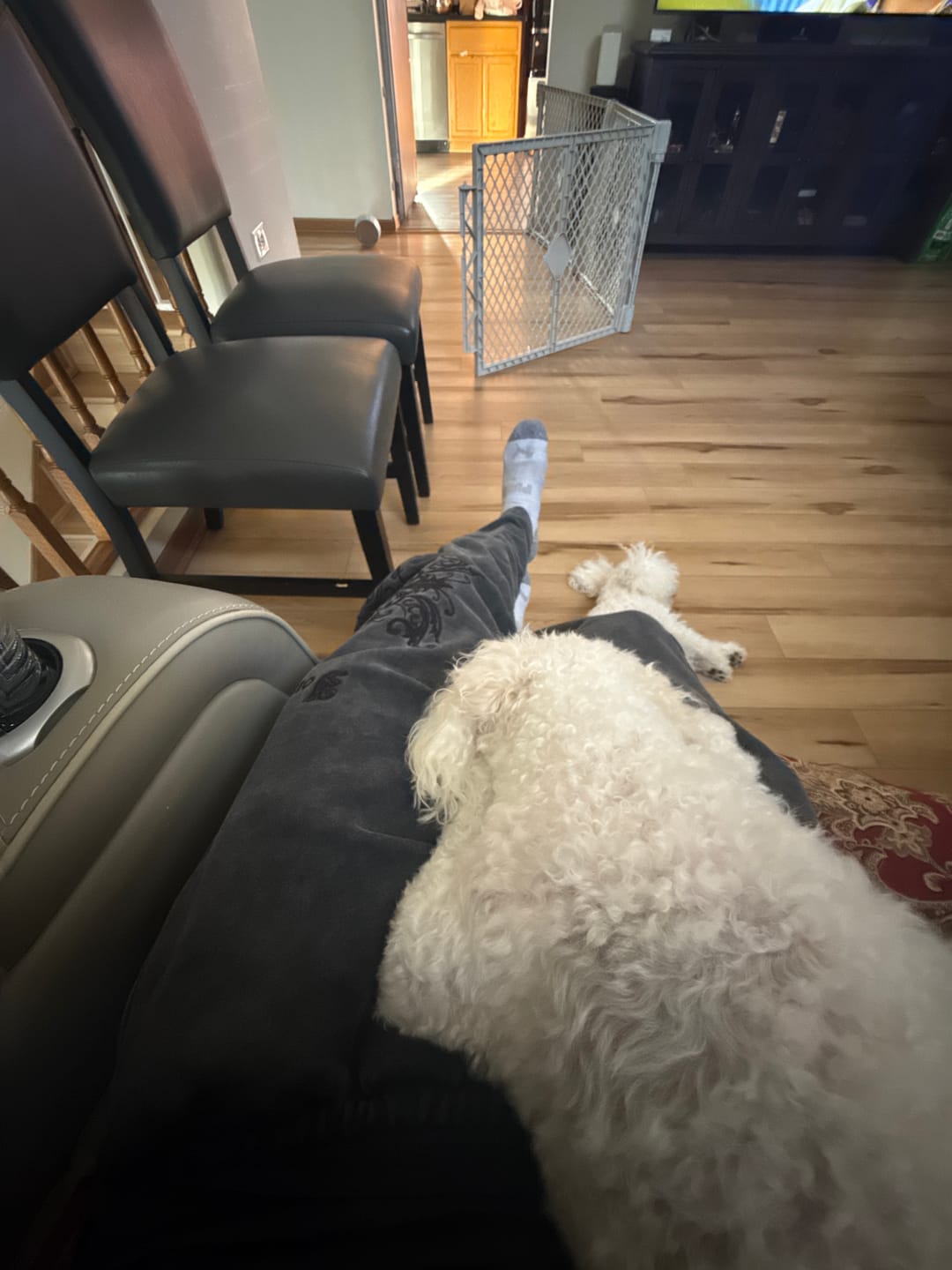 Customer photo review of 2061 - Threadmark Sweats