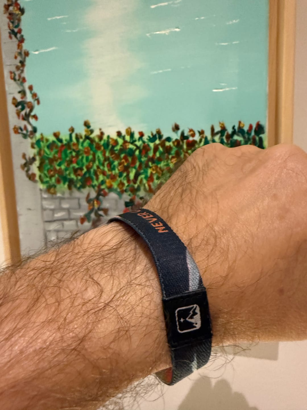 Customer photo review of Never Give Up - Elastisches Armband