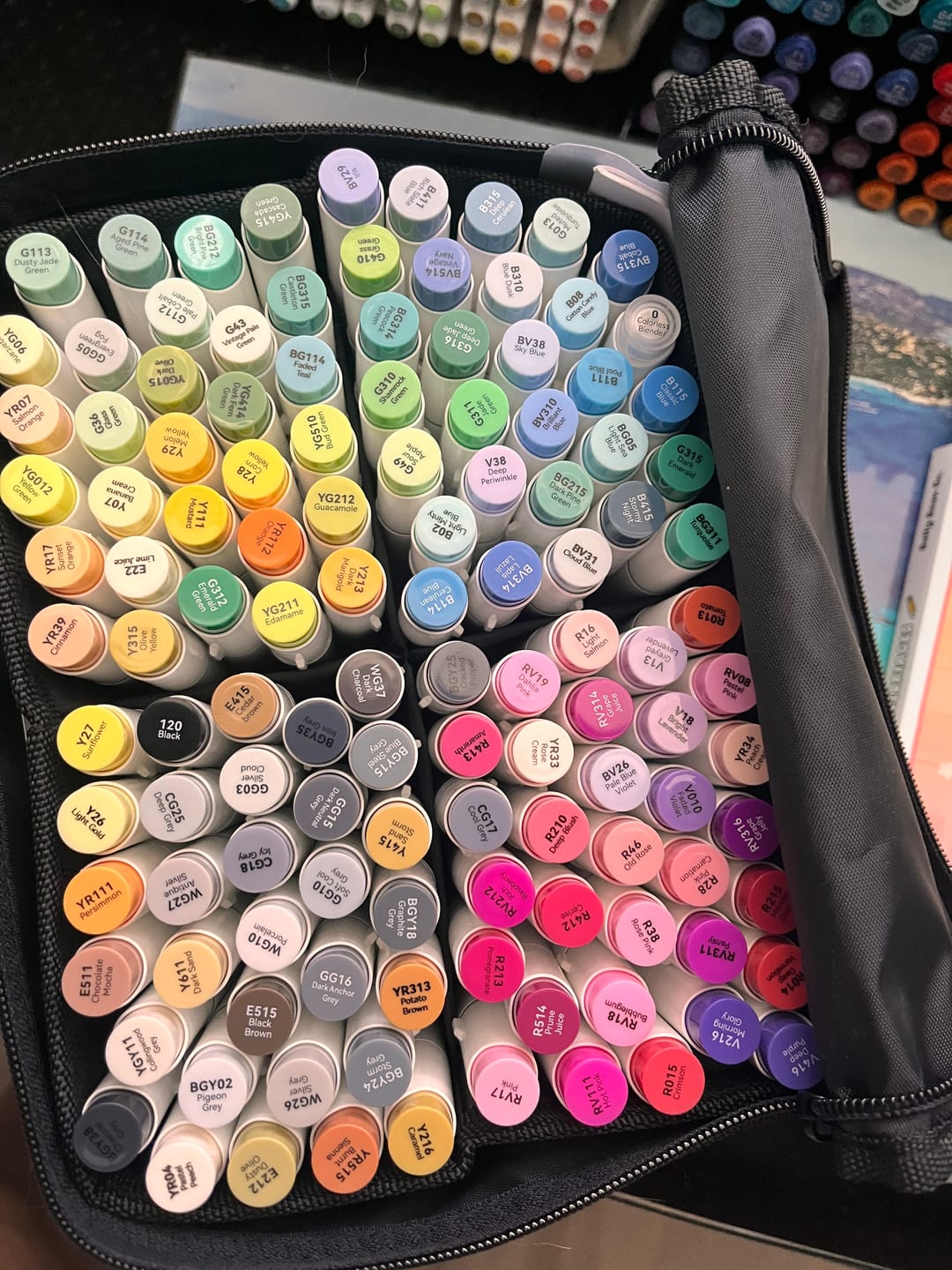 Customer photo review of Ohuhu Honolulu 120 Colors Dual Tips Alcohol Art Markers (New Color Codes)