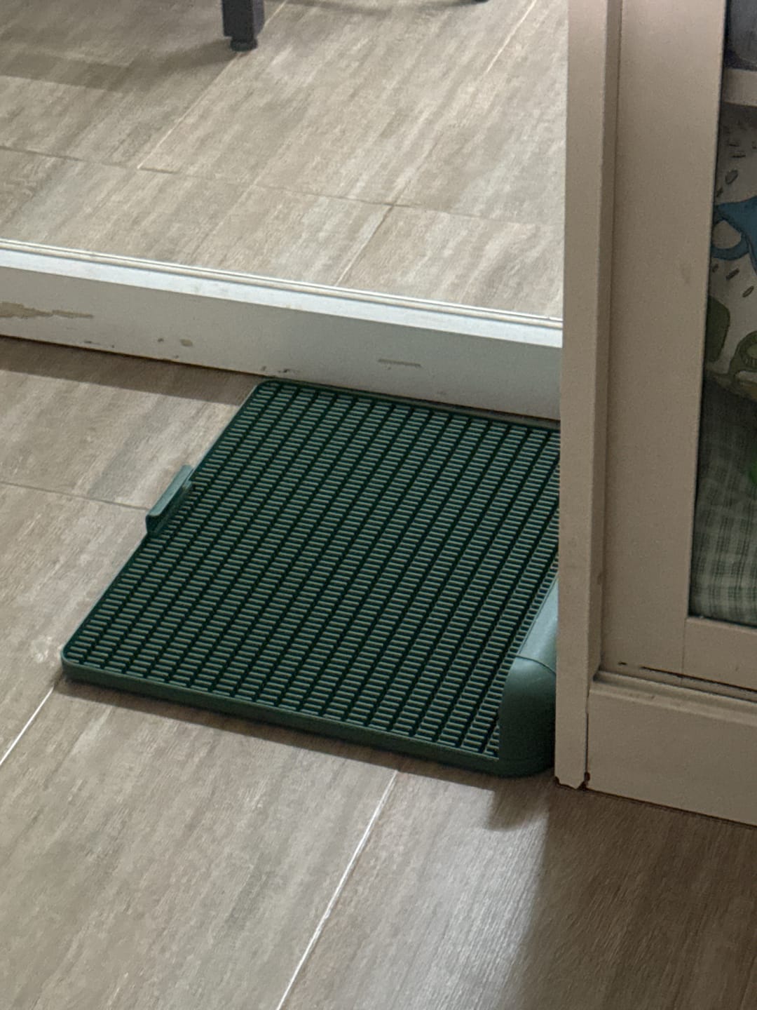 Customer photo review of Protrusion Potty Pad (Size L)