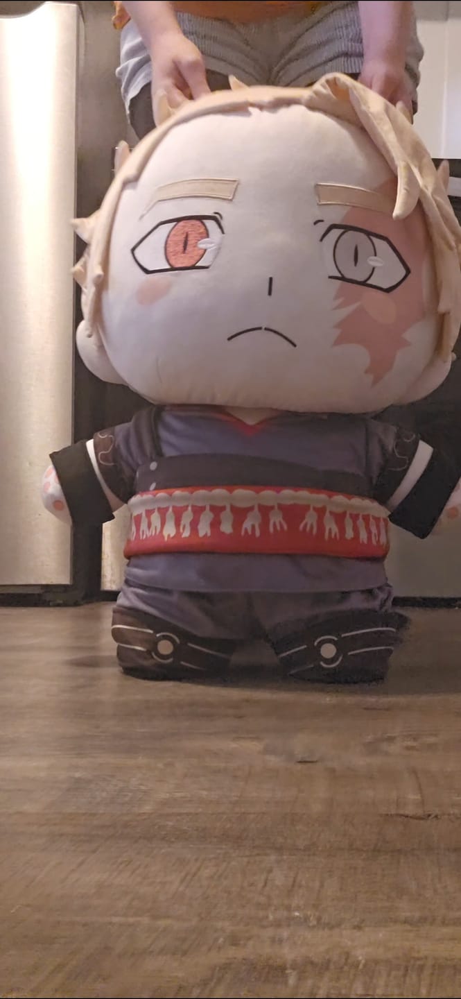 Customer photo review of Original Character (OC) Design Plush