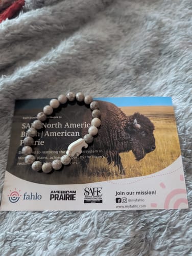 Customer's Mystery Bracelet with light beads resting on the product information card featuring a bison.